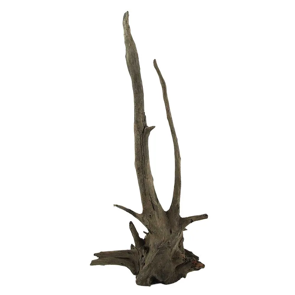 Legno Thai Orchidea 5 con Foto Reale e Misure 27x16x65h cm