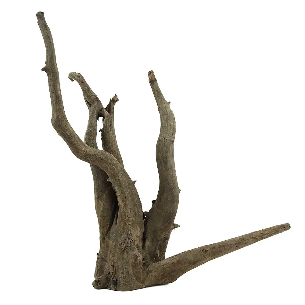 Legno Thai Orchidea 6 con Foto Reale e Misure 36x13x43h cm