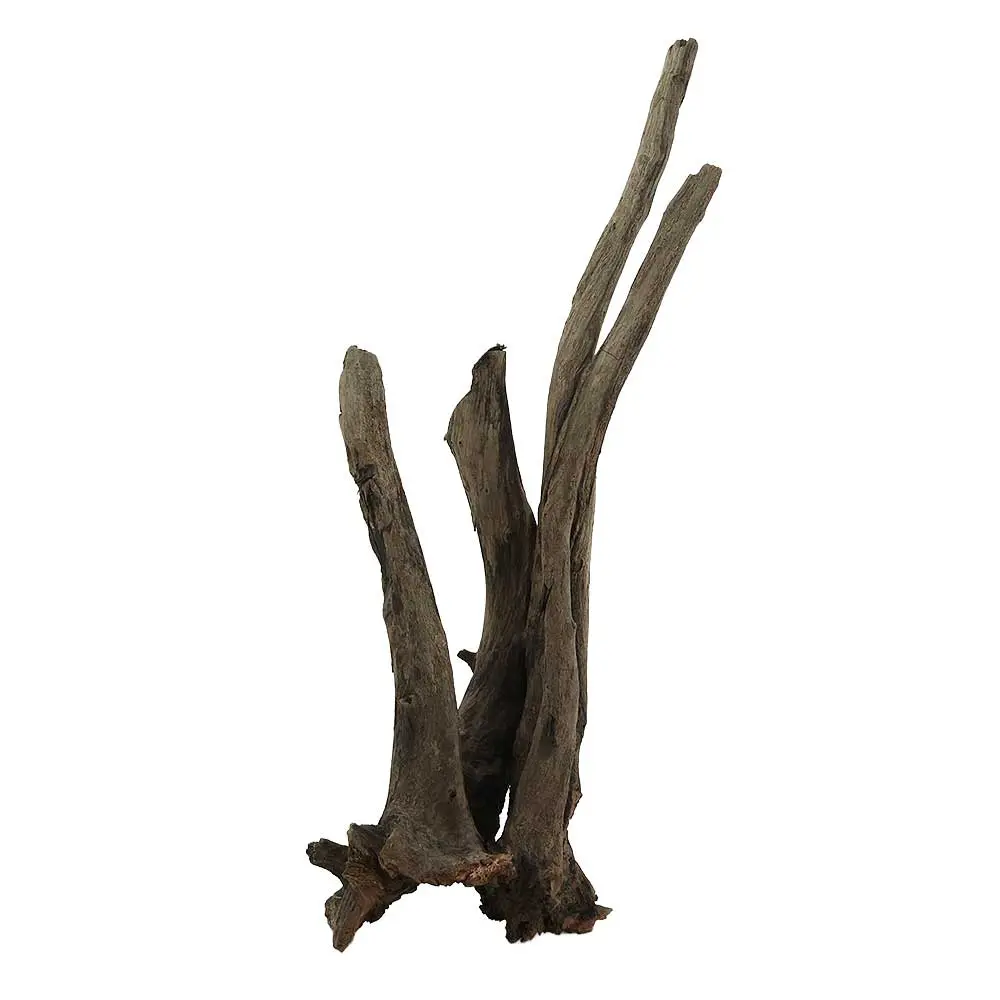 Legno Thai Orchidea 7 con Foto Reale e Misure 19x14x42h cm