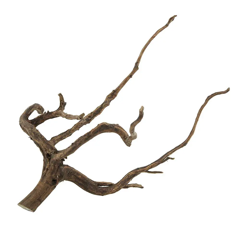 Legno Spider King 318 con foto reale e misure 33x24x25h cm