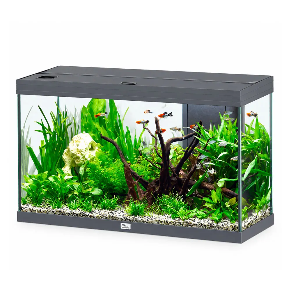 Aquatlantis Splendid Ultra 100 Acquario 202 Litri Filtraggio interno 102x40x61 cm Antracite