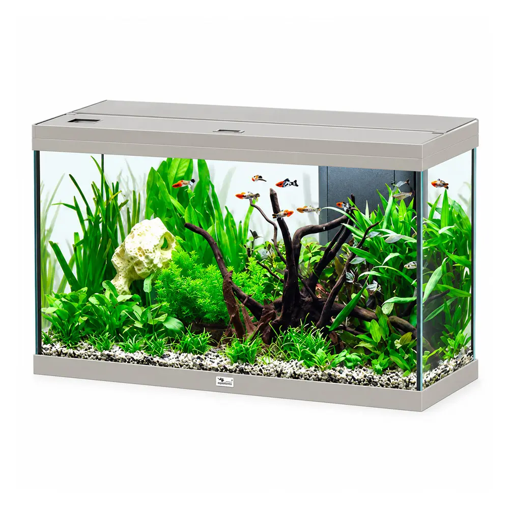 Aquatlantis Splendid Ultra 100 Acquario 202 Litri Filtraggio interno 102x40x61 cm Alluminio