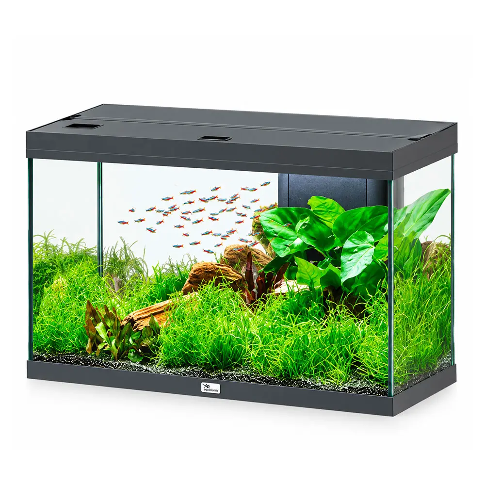 Aquatlantis Splendid Ultra 80 Acquario 202 Litri Filtraggio interno 80x40x56 cm Nero