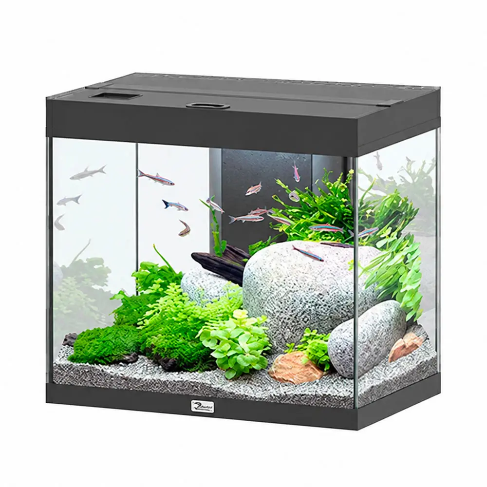 Aquatlantis Splendid Ultra 60 Acquario 134 Litri Filtraggio interno 60x40x56 cm Nero