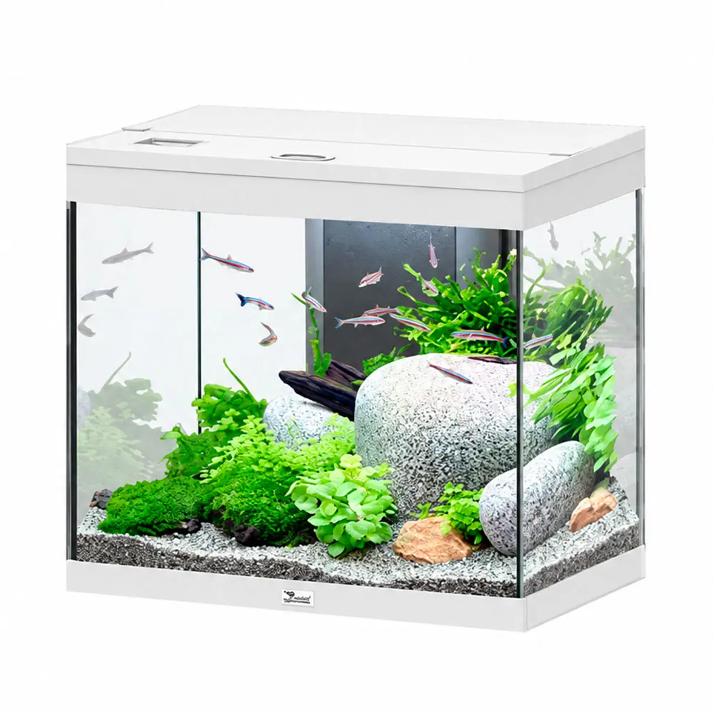 Aquatlantis Splendid Ultra 60 Acquario 134 Litri Filtraggio interno 60x40x56 cm Bianco