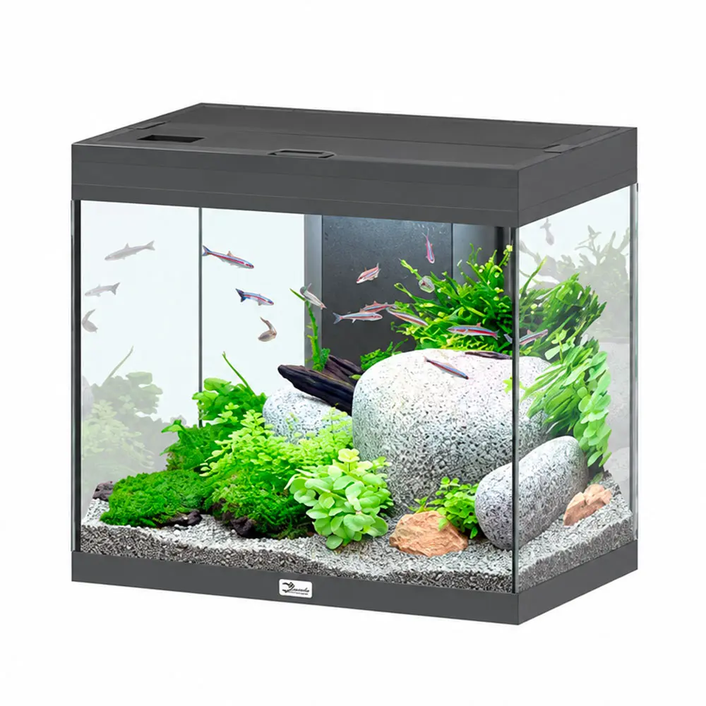 Aquatlantis Splendid Ultra 60 Acquario 134 Litri Filtraggio interno 60x40x56 cm Antracite