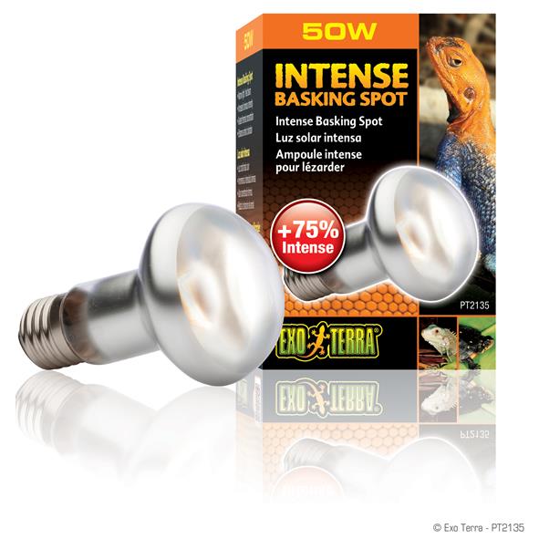 Exoterra Intense Basking Spot 50W Luce concentrata ad alta intensità