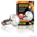 Exoterra Intense Basking Spot 50W Luce concentrata ad alta intensità