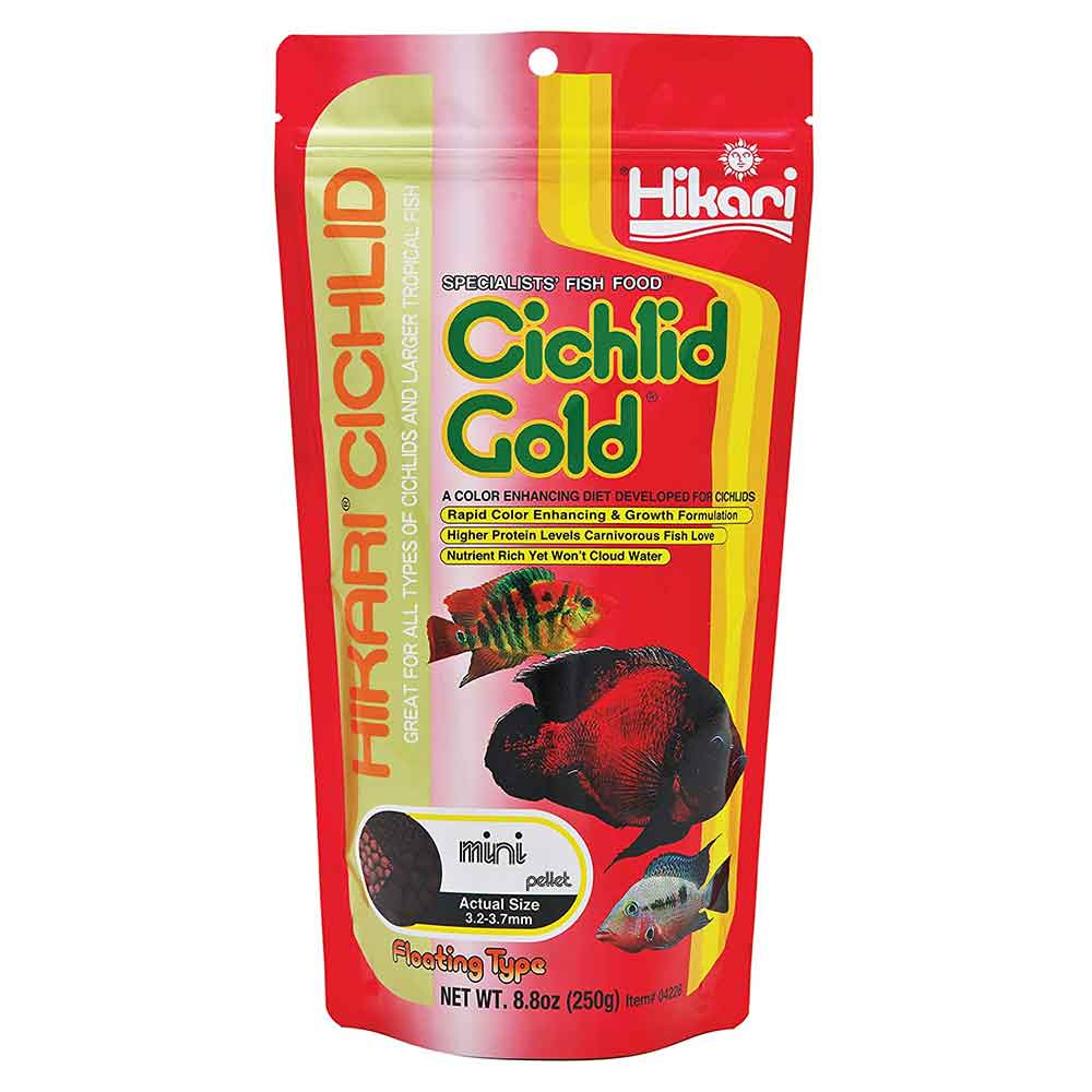 Hikari Cichlid Gold Mini Alimento per la colorazione dei Ciclidi 250gr