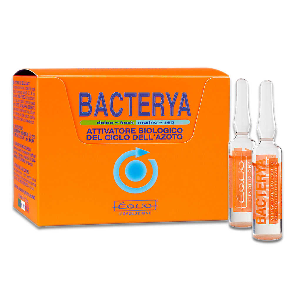 Equo Bacterya 6 Batteri in Fiale per 6000Lt