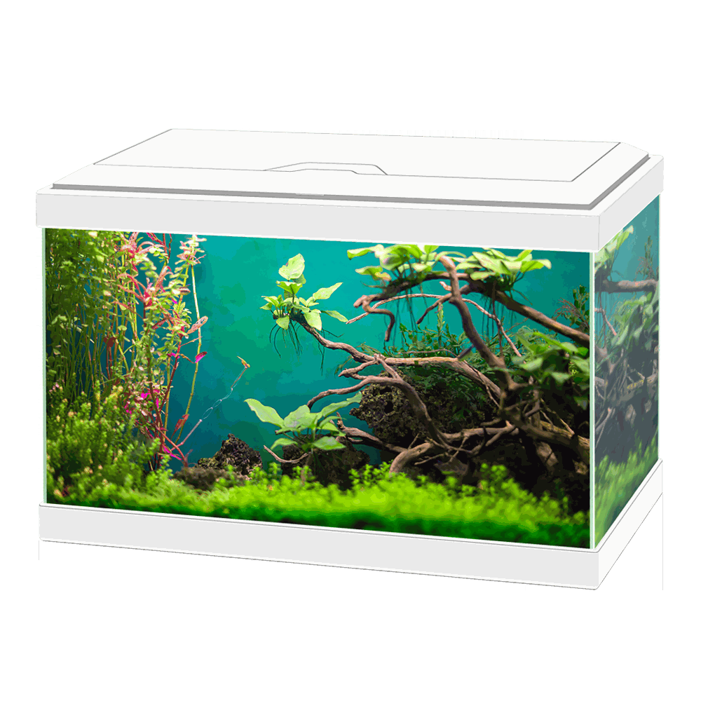 Ciano Aqua 20 Light Led Acquario Led 17Litri Bianco 40x24,8x20h