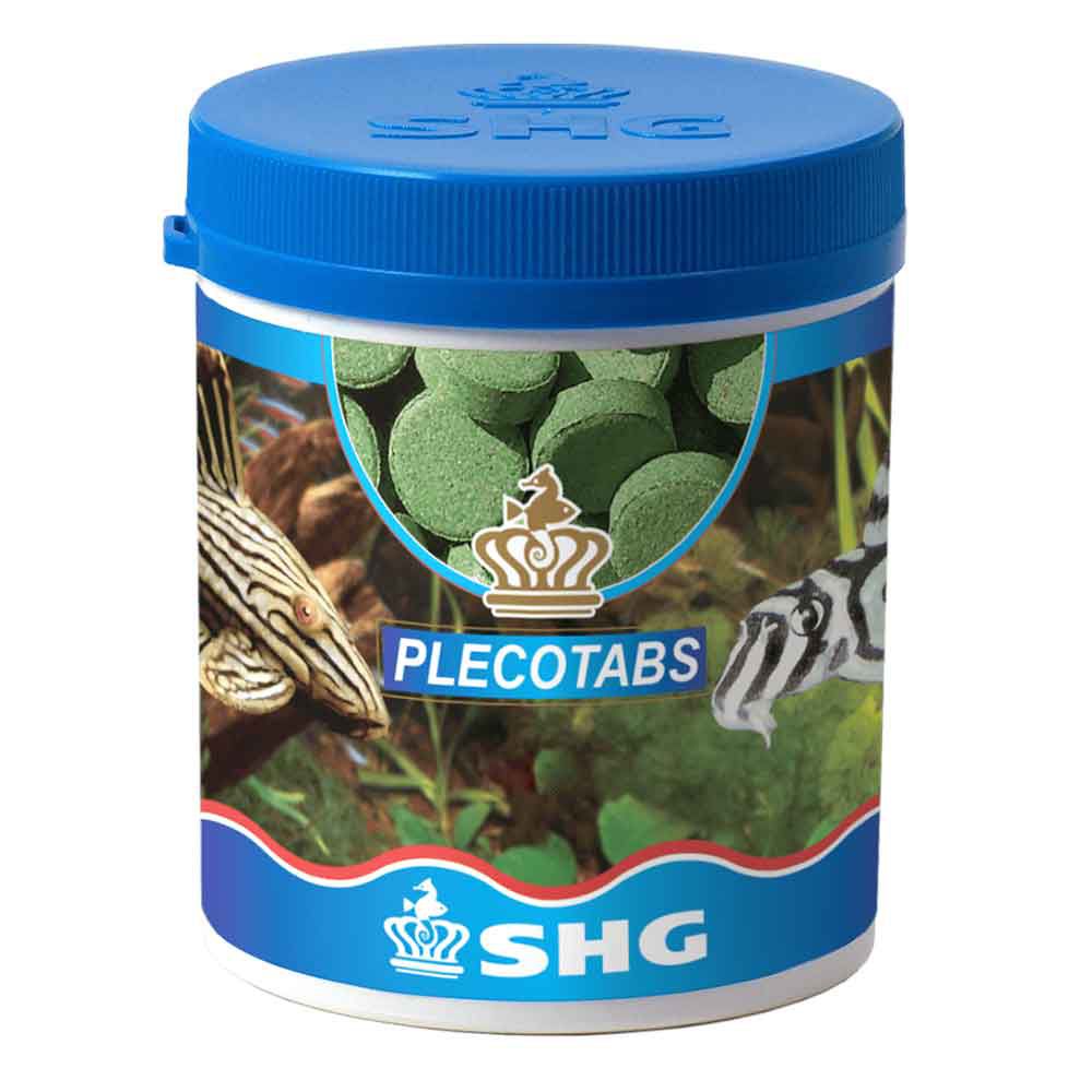 Shg Plecotabs Pastiglia da fondo per pesci vegetariani 60g