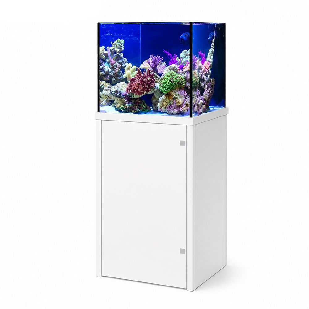Genesi Acquario Marino Reef Plus Extrachiaro Completo con Sump e Supporto in Alluminio Bianco 60x45x45h cm