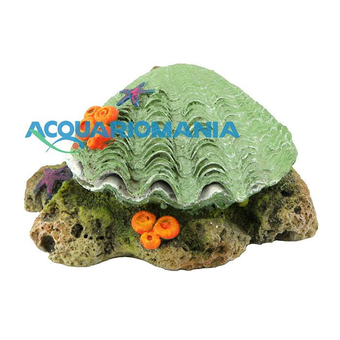 Amtra Conchiglia "Apri e chiudi" Verde con attacco per Areatore 10cm