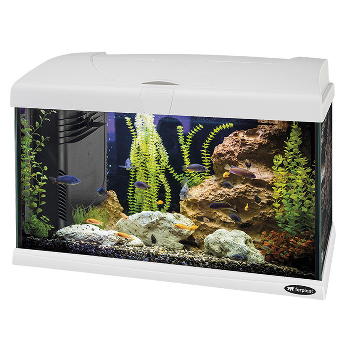 Ferplast Acquario Capri 50 Led Bianco completo 40 Litri 52x27xh 36 cm
