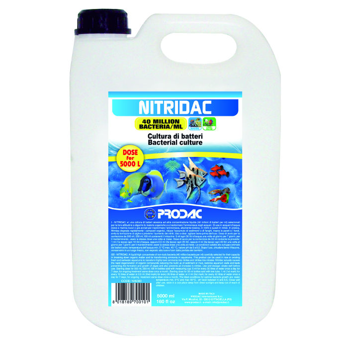 Prodac Nitridac Batteri 5000 ml per 50.000 l