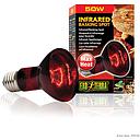 Exoterra Infrared Basking Spot Luce riscaldante ad Infrarossi 50W