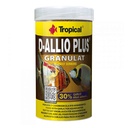 Tropical D-Allio Plus granulat con 30% d'aglio 100ml 60gr