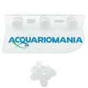 Skimz Porta Talee magnetico in acrilico con 16 basette