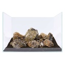 Aquadeco Roccia Fossilized Wood prezzo al Kg
