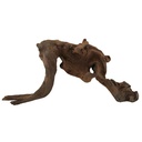 Legno Amazzonia  10 con foto reale e misure 27x9x13h cm