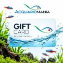 Carta regalo da 50 euro