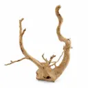 Legno Branch Wood 2276 con foto reale e misure 28x18x35h