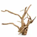 Legno Branch Wood 2285 con foto reale e misure 26x11x14h