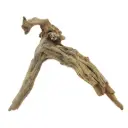 Legno Drift Wood 166 con foto reale e misure 31x14x26h