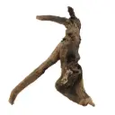 Legno Drift Wood 168 con foto reale e misure 26x15x30h