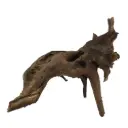 Legno Drift Wood 180 con foto reale e misure 30x12x26h