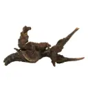 Legno Drift Wood 185 con foto reale e misure 31x12x16h
