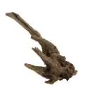 Legno Drift Wood 187 con foto reale e misure 24x11x23h