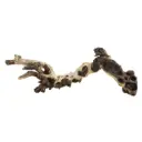 Legno Mopani 924 con Foto Reale e Misure 41x11x15h cm