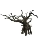 Legno Black Root 11 con foto reale e misure 64x85x51h cm