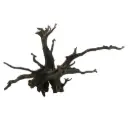 Legno Black Root 12 con foto reale e misure 67x47x46h cm