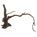 Legno Spider King 319 con foto reale e misure 30x17x23h cm