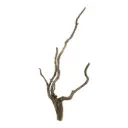 Legno Spider King 320 con foto reale e misure 22x15x46h cm