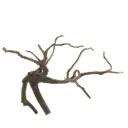 Legno Spider King 322 con foto reale e misure 32x28x22h cm