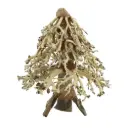 Amtra Legno Oriental Wind 8 Medium 1 con foto reale 16x15x20hcm