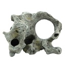 Amtra Roccia Gallura Grigia con foro M 25x14x17h cm